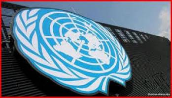 سازمان ملل متحد در یک نگاه