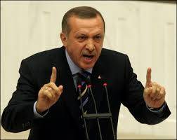 واکنش‌های جریان‌های سیاسی داخلی ترکیه به خودرایی اردوغان