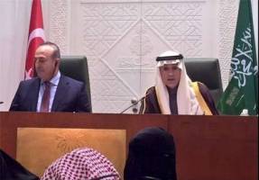 ترکیه و عربستان در مورد سوریه سر در گم شده اند