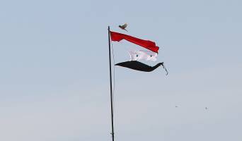 پرچم افراشته اما تکه تکه شده سوریه و پرنده امید!