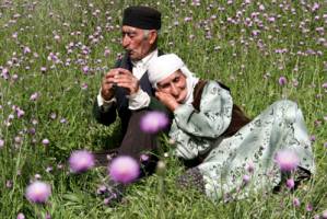 سن امید ایرانیان: زنان 80 و مردان 76.5 سال