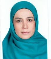 جوانان، رسانه ها و هویت بریکولاژ