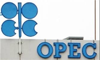 اوپک: نفت و گاز همچنان منابع اصلی انرژی در جهان خواهد بود