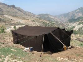«سیاه چادر» گزینه مناسب برای اسکان زلزله زدگان