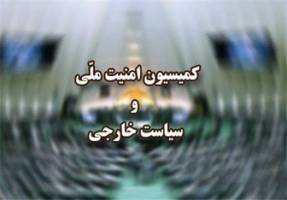 تاکید وزارت خارجه بر تصویب مشروط CFT