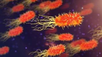 دنیای نانو قادر به تشخیص باکتری های مقاوم به آنتی بیوتیک شد  