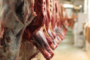 گوشت گوسفندی کیلویی 98 هزار تومان